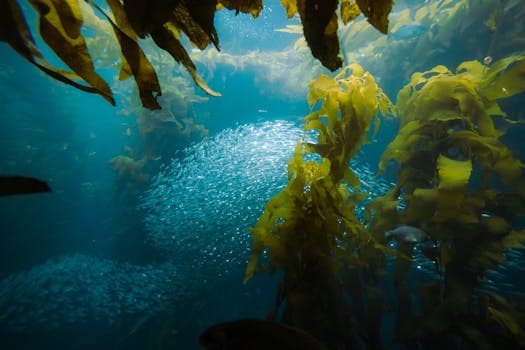 Biofabrication Breakthroughs: Growing Materials from Algae and Kelp