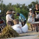 Organic Cotton’s Comeback: Why Farmers Are Switching to Regenerative Methods