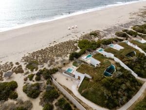 Rewilding Retreats: Vacations That Support Habitat Restoration