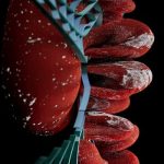 Ethical AI in Education: Tackling Bias and Ensuring Transparency