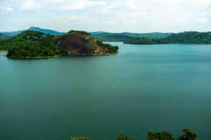 Regenerative Travel: Healing Ecosystems Through Tourism