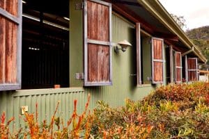 Net-Zero Homes: How Green Building Codes Reshape Construction