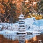Forest Bathing Escapes: Mindfulness Trips in Untouched Wilderness