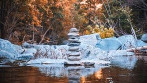 Forest Bathing Escapes: Mindfulness Trips in Untouched Wilderness