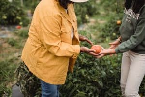 Agriculture Tech: Smart Farming and Sustainable Food Production Jobs