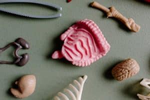Gamification Nation: Turning Math into a Quest for Gen Z