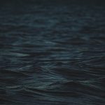 Plug-In Hybrids: Why They’re 2025’s Dark Horse