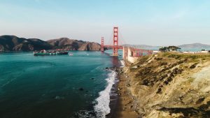 Hybrid Vehicles: The Auto Industry’s Bridge to Electrification