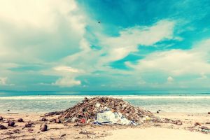 Biodegradable Sequins: Glamour Without Microplastic Pollution
