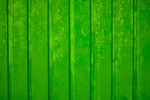Biodegradable Circuit Boards: Tackling E-Waste with Green Tech